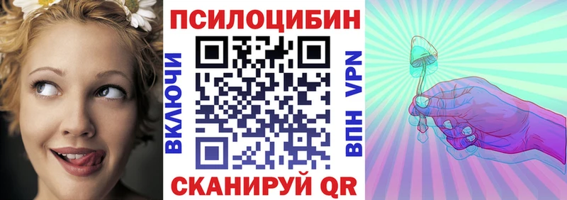 кракен ССЫЛКА  нарко площадка телеграм  Псилоцибиновые грибы прущие грибы  сколько стоит  Нелидово 