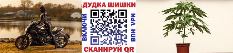 Шишки марихуана ГИДРОПОН  хочу наркоту  Нелидово 